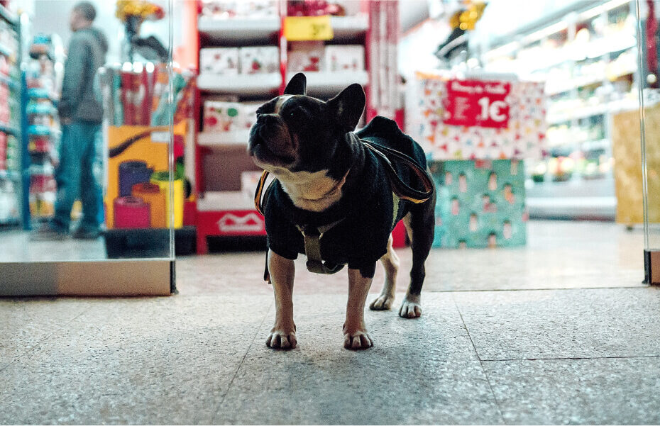 pet-shop-01