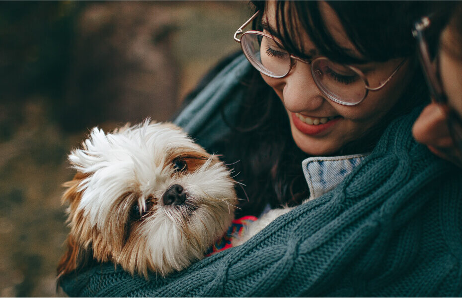 pet-shop-03